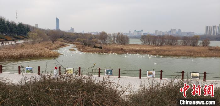 130274920_zsite.jpg