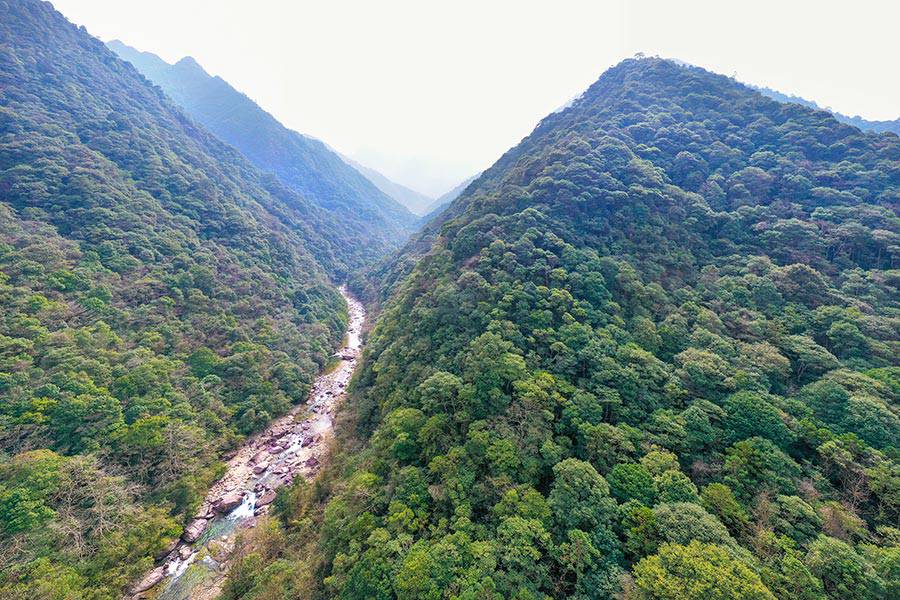福建光泽县寨里镇境内武夷山国家公园地貌。黄海摄