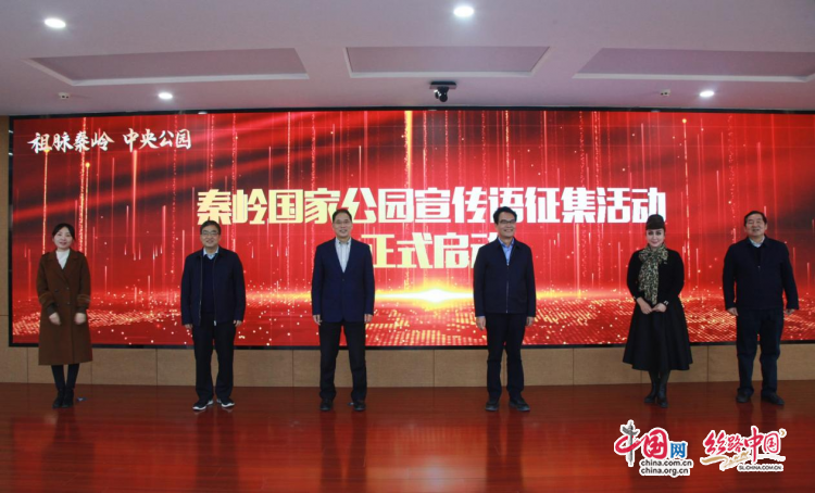 图片9