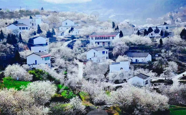微信图片_20220425144519.png