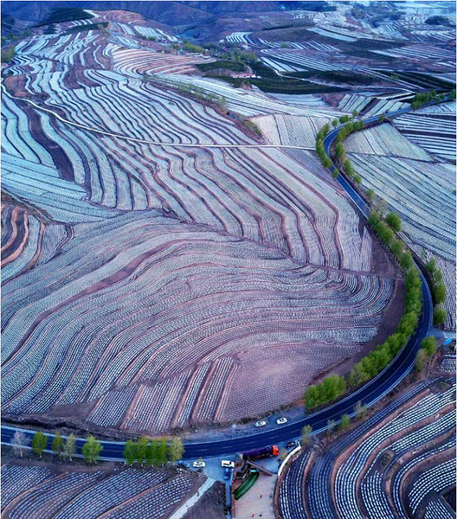 微信图片_20220503210911.png