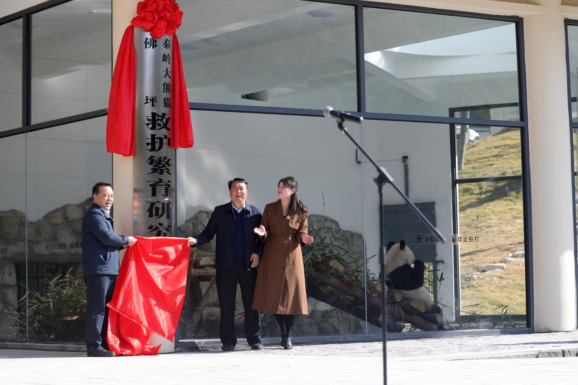 省市县领导为秦岭大熊猫佛坪救护繁育研究基地揭牌  何鑫 摄2.jpg